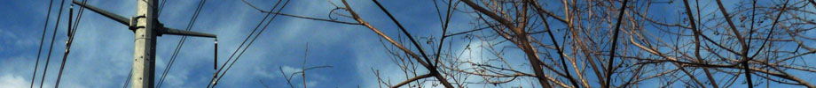 DMGreer LLC Rotating Header Image