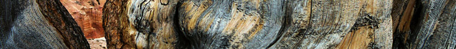 DMGreer LLC Rotating Header Image