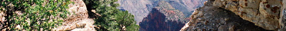 DMGreer LLC Rotating Header Image
